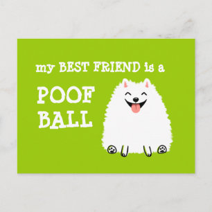 My Best Friend is a Poof Ball - Funny Pomeranian Postcard