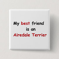 My best friend is an Airedale Terrier