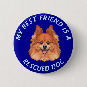 My Best Friend (Pomeranian) 6 Cm Round Badge