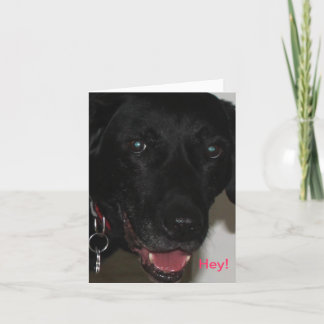 My Black Lab Thank-You Card