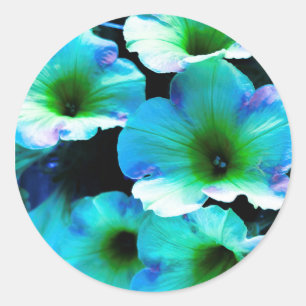My Blue Petunia Classic Round Sticker