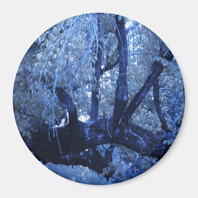 My blue Winter.... Magnet (Front)