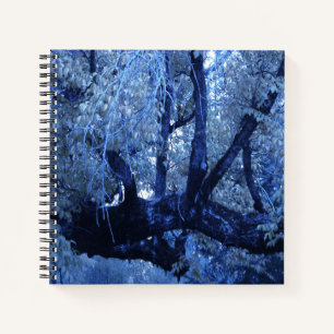 My blue Winter.... Notebook