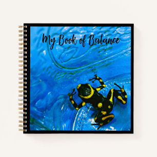 My Book of Balance Spiral Notebook