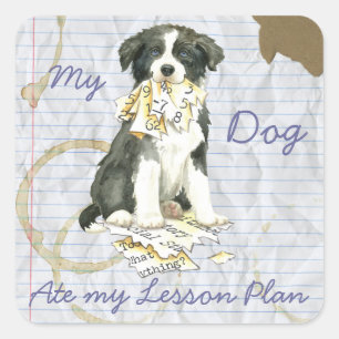 My Border Collie Ate my Lesson Plan Square Sticker