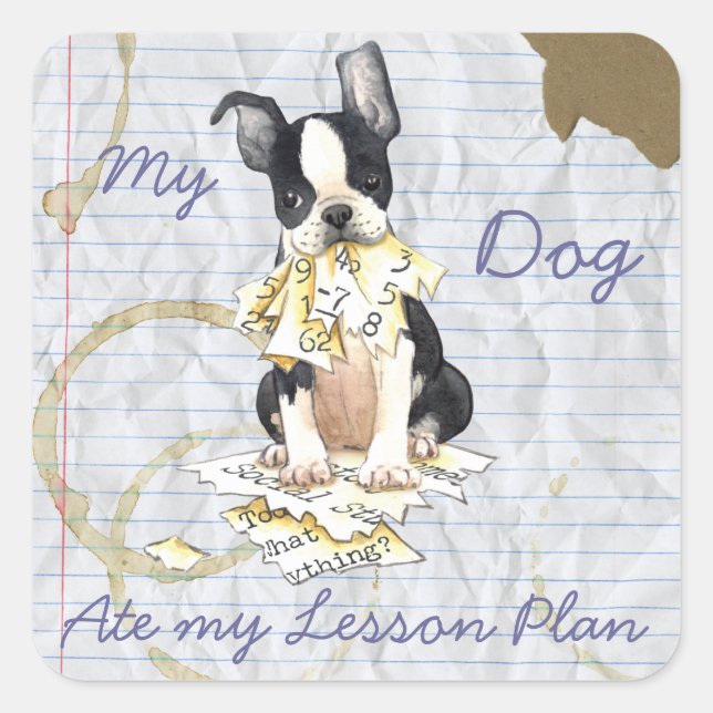 My Boston Terrier Ate My Lesson Plan Square Sticker (Front)