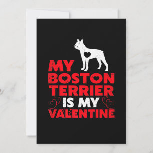 My Boston Terrier Is My Valentine Boston Terrier