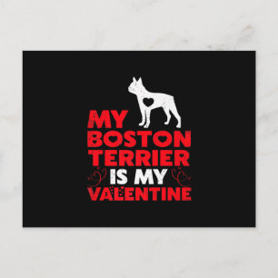 My Boston Terrier Is My Valentine Boston Terrier Postcard