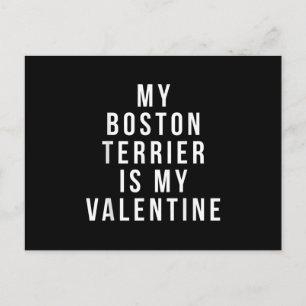 My Boston Terrier Is My Valentine T-Shirt Postcard