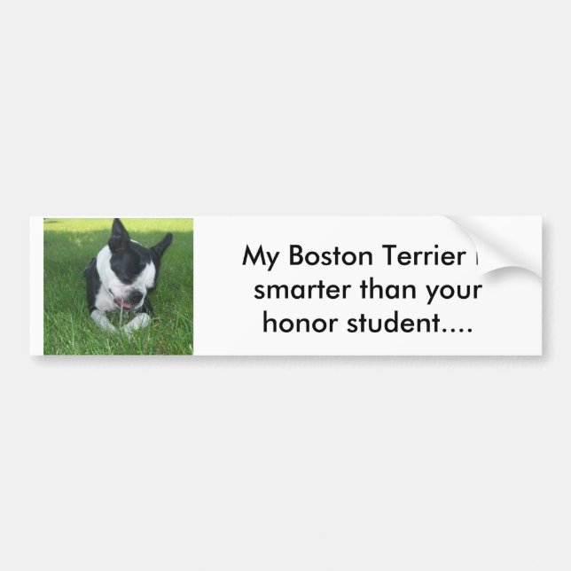 My Boston Terrier is smarter than your honour s. Bumper Sticker (Front)