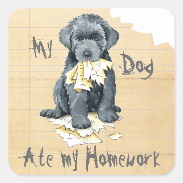 My Bouvier Ate My Homework Square Sticker (Front)