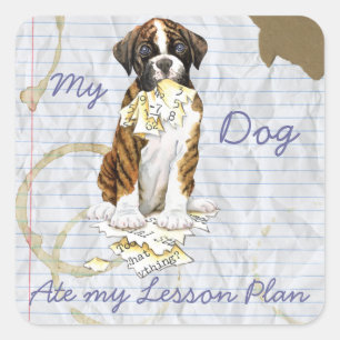 My Boxer Ate My Lesson Plan Square Sticker