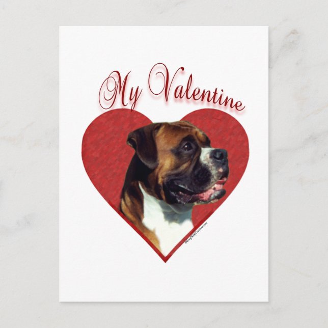 My Boxer Valentine Holiday Postcard (Front)