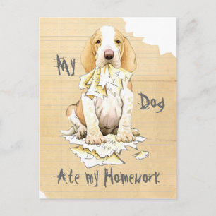 My Bracco Italiano Ate my Homework Postcard