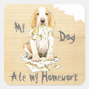 My Bracco Italiano Ate My Homework Square Sticker