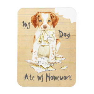 My Brittany Ate My Homework Magnet