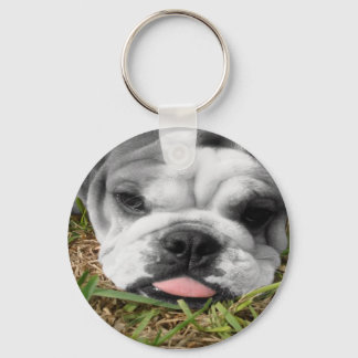 my bulldog key ring