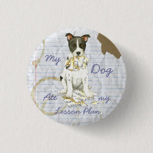 My Canaan Dog Ate My Lesson Plan 3 Cm Round Badge