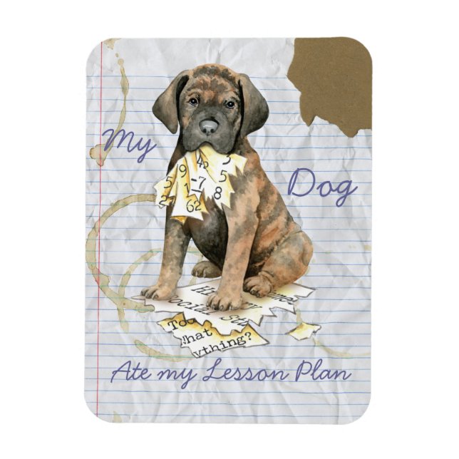 My Cane Corso Ate My Lesson Plan Magnet (Vertical)