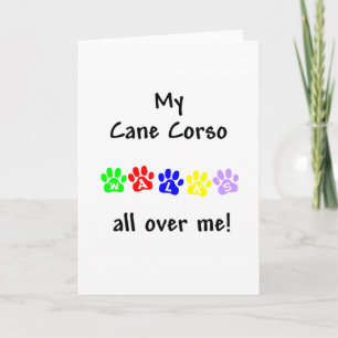 My Cane Corso Walks All over Me Holiday Card