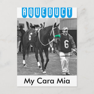 My Cara Mia Postcard