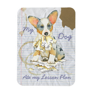 My Cardigan Welsh Corgi Ate my Lesson Plan Magnet