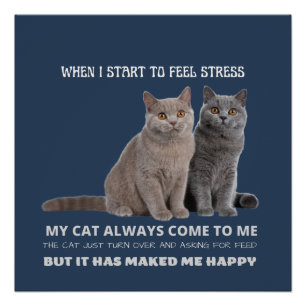 my cat always make me happy poster