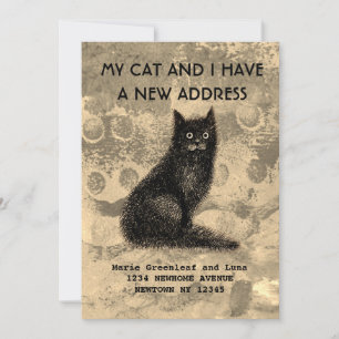 My cat and I have moved Announcement