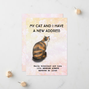 My cat and I have moved Announcement