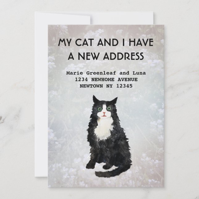 My cat and I have moved Announcement (Front)