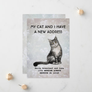 My cat and I have moved Announcement