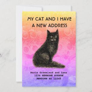 My cat and I have moved Announcement
