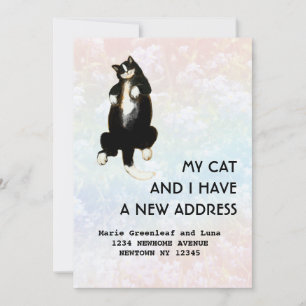 My cat and I have moved Announcement