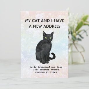 My cat and I have moved Announcement