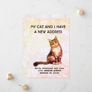My cat and I have moved Announcement
