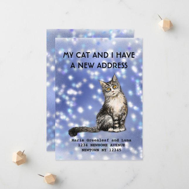 My cat and I have moved Announcement (Front/Back In Situ)