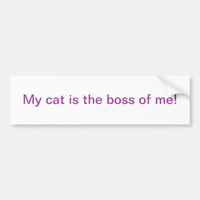 My cat bumper sticker (Front)