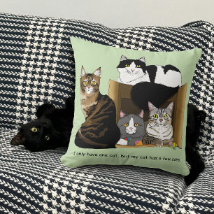 My Cat has Cats Cushion
