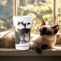 My Cat has Cats
