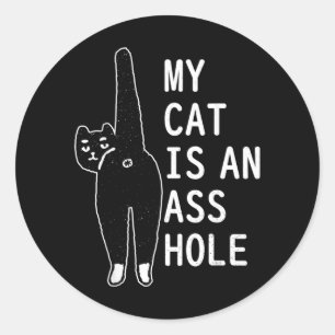 My Cat Is An Funny Feline Pet Halloween Vintage Classic Round Sticker