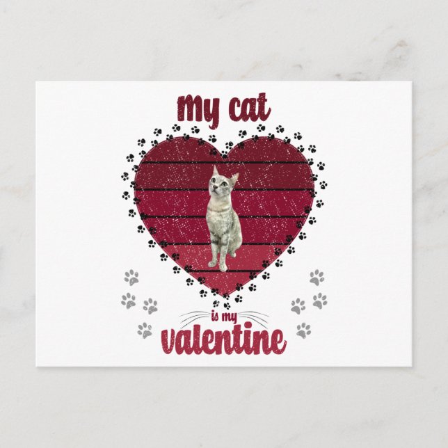 My Cat Is My Valentine Postcard (Front)