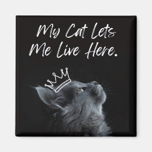 My Cat Lets Me Live Here Magnet