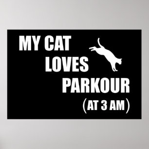 My Cat Loves Parkour (At 3 AM) Funny Cat Lover Poster