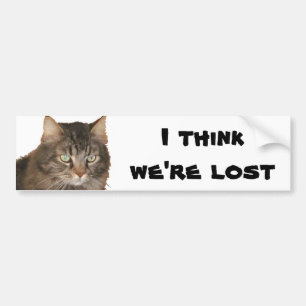 My Cat thinks we're lost Bumper Sticker