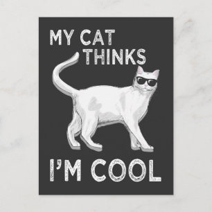 My Cats Think I'm Cool Feline with Sunglasses Cat Postcard