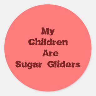 My Children Are Sugar Gliders Classic Round Sticker