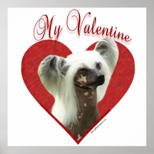 My Chinese Crested Valentine Poster
