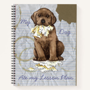 My Chocolate Lab Ate My Lesson Plan Notebook