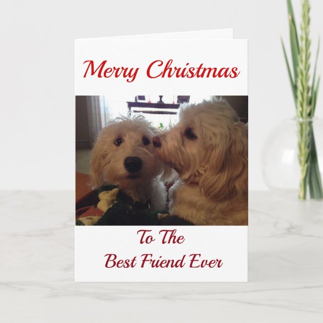 MY **CHRISTMAS PUPS** BEST CHRISTMAS EVER HOLIDAY CARD (Front)
