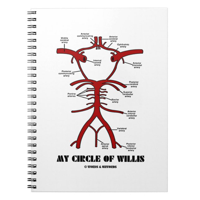 My Circle Of Willis (Anatomical) Spiral Notebook (Front)